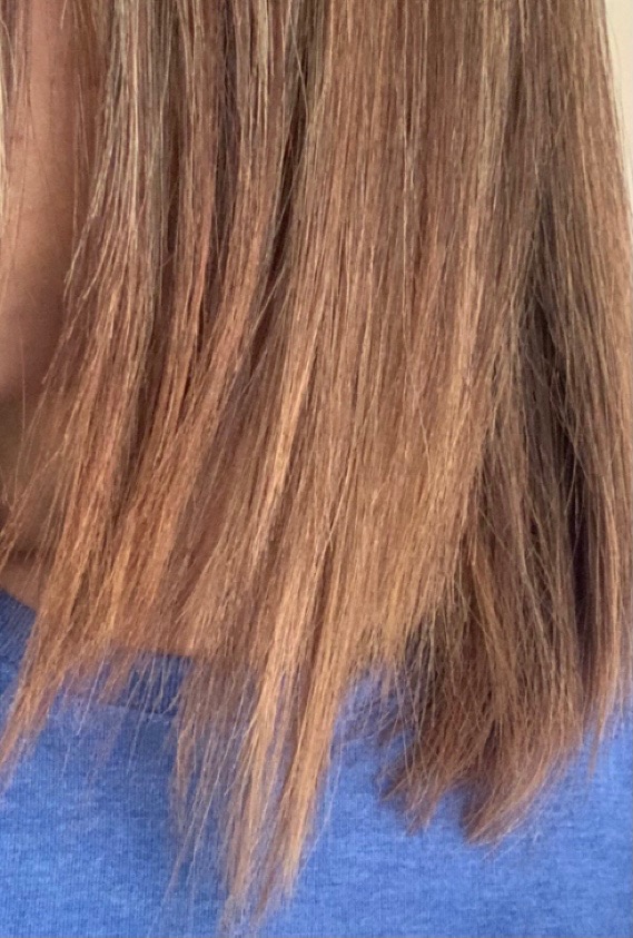 Shear Salon view 4
