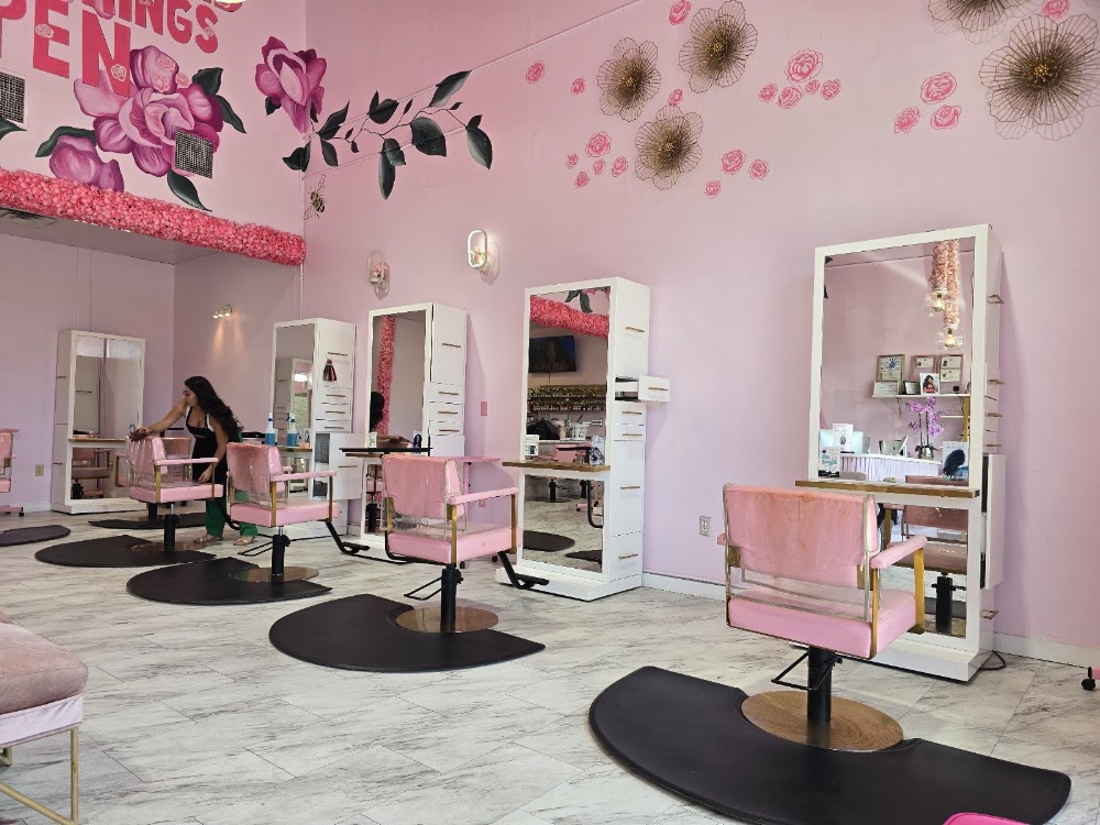 The Color Studio primary photo