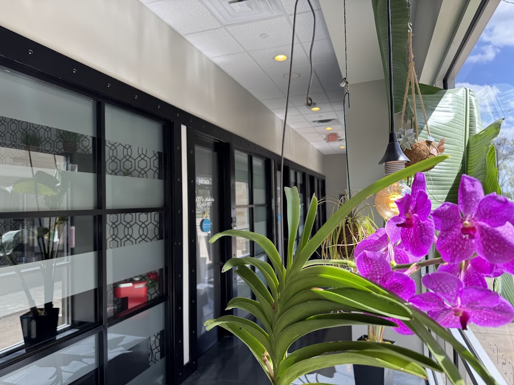 The Guest House Salon Studios view 3