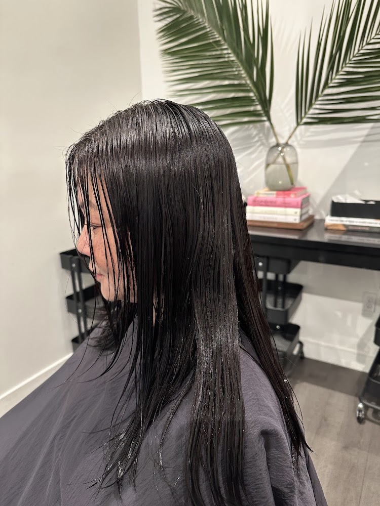 The Lane Salon view 3
