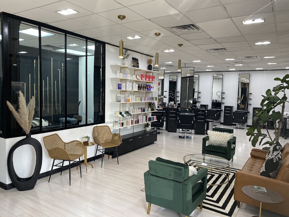 The Standard Hair Company view 4