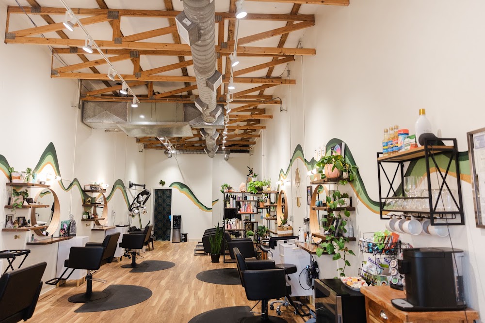 The Stargazer Salon view 2