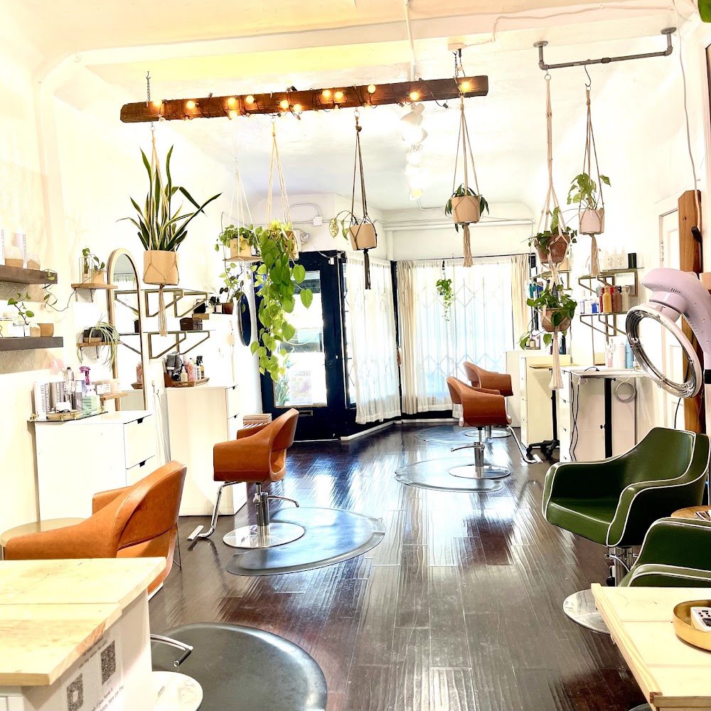 Verde Salon view 3