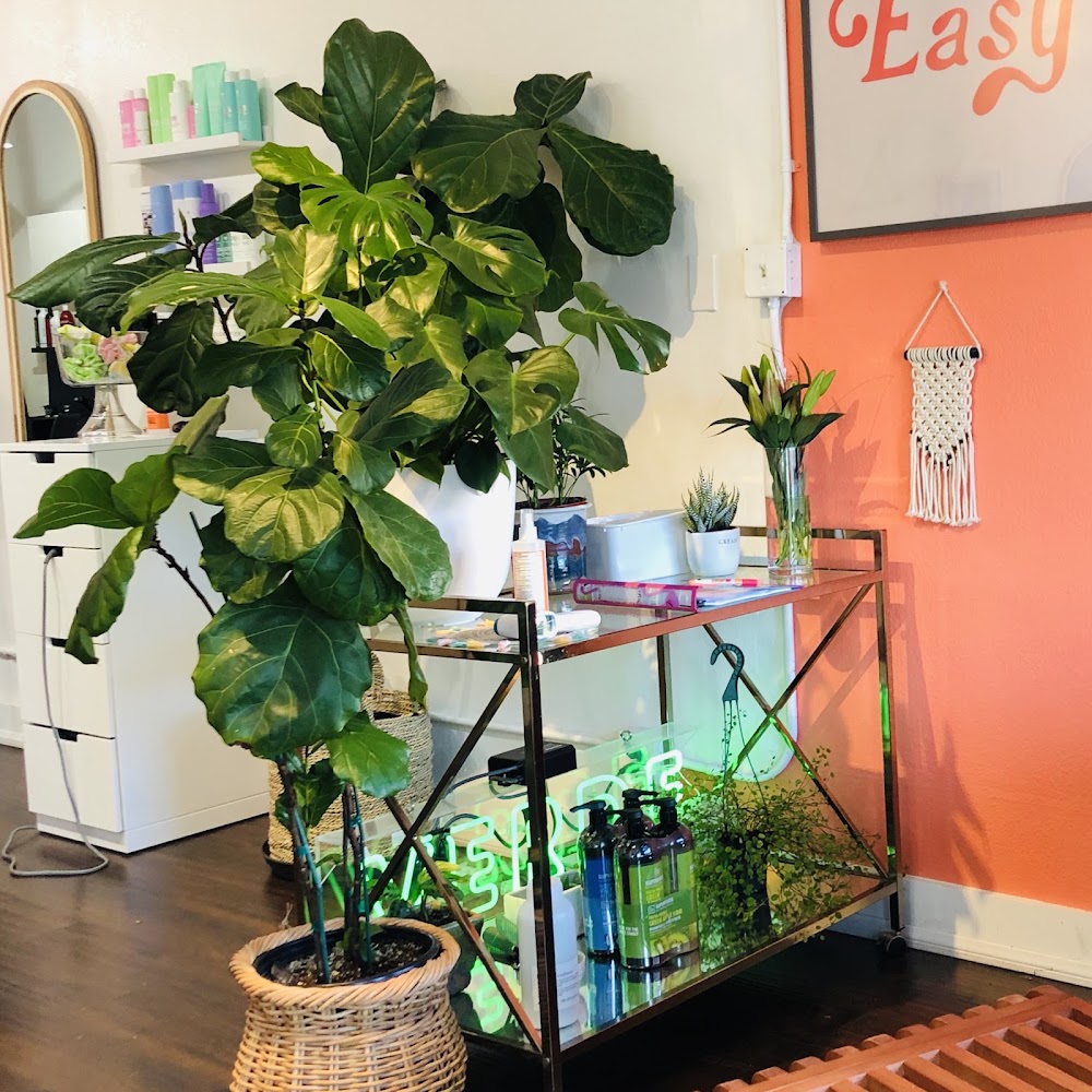 Verde Salon view 4
