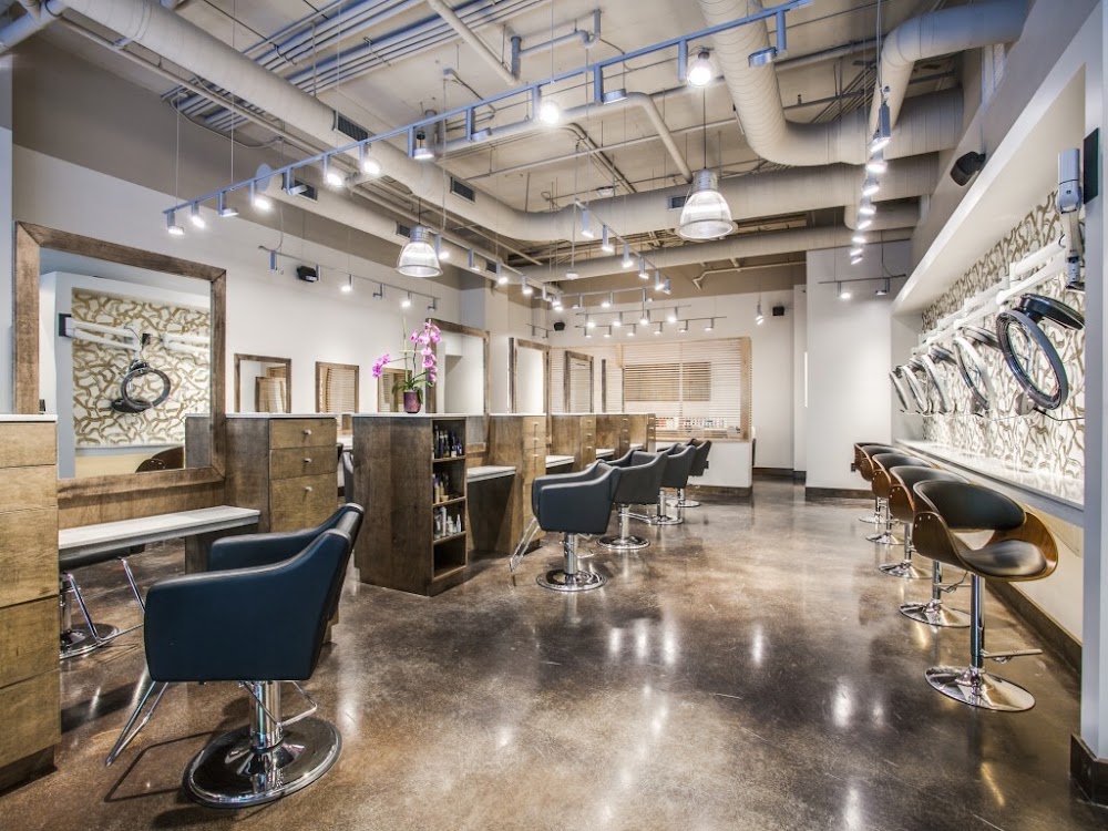 Voss Salon view 4