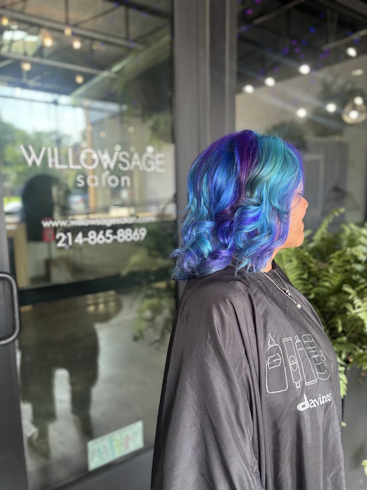Willow Sage Salon view 5