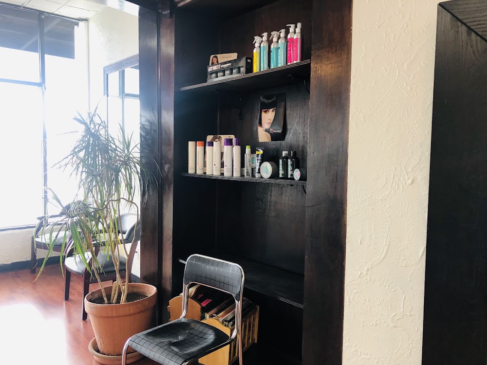 Ziba Hair Salon view 3