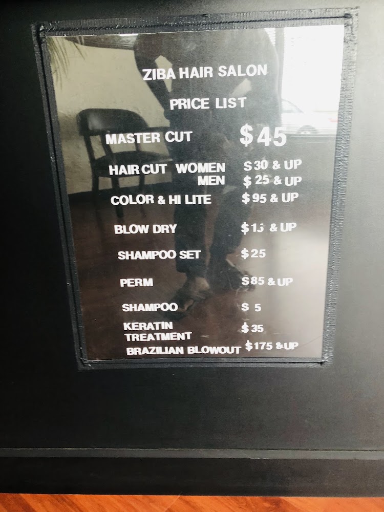 Ziba Hair Salon view 5