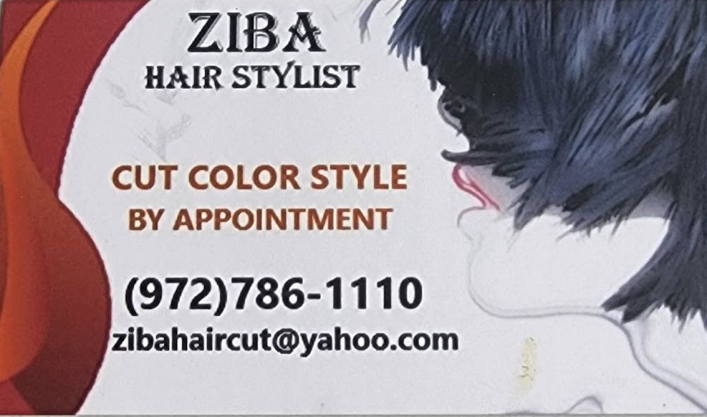 Ziba's Beauty Salon view 2