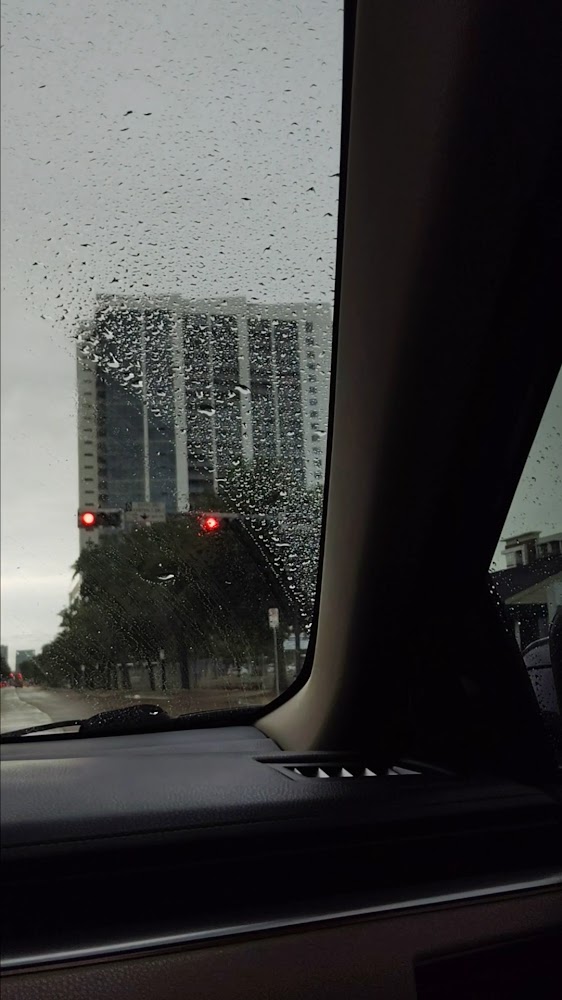 Houston City College - Central photo 3