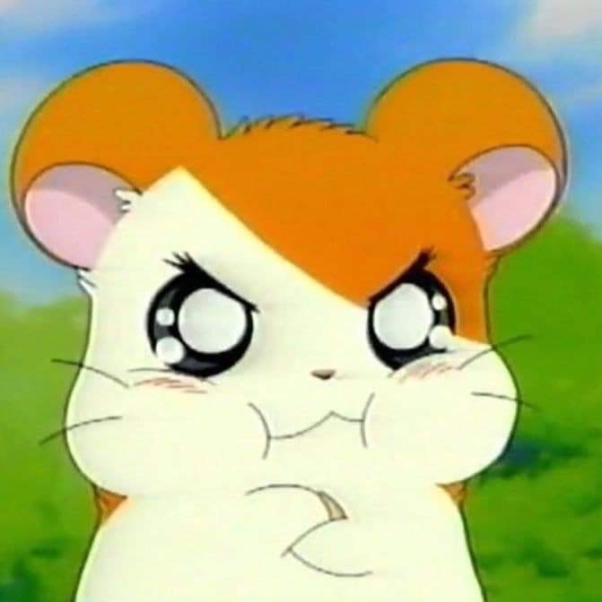 Radiant Academy LLC photo 3