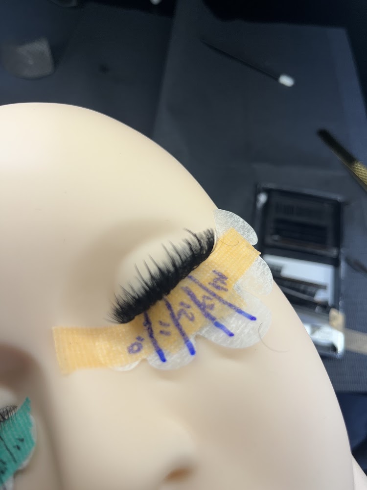 D Lash Architect Elite Academy LLC
