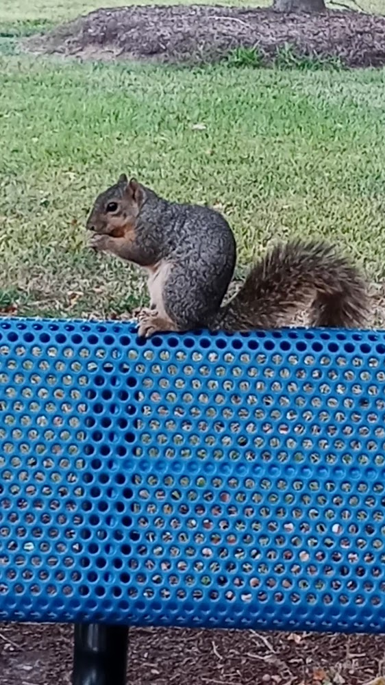 San Jacinto College North Campus photo 3