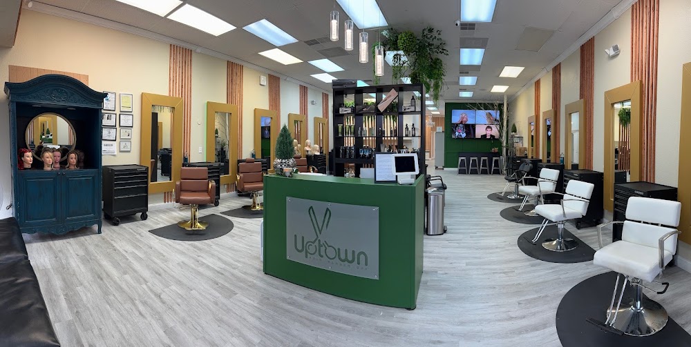 Uptown Institute LLC