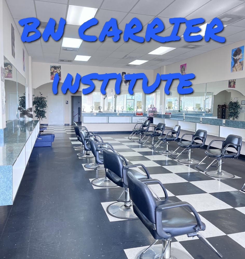 Bn Career Institute