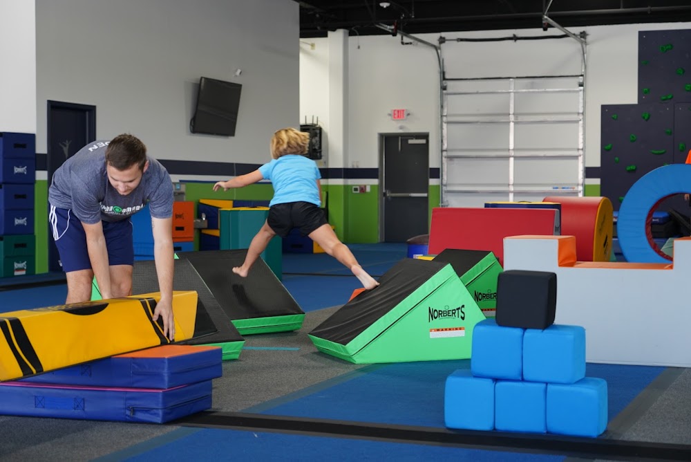Alpha Omega Gymnastics & Dance Pearland photo 2