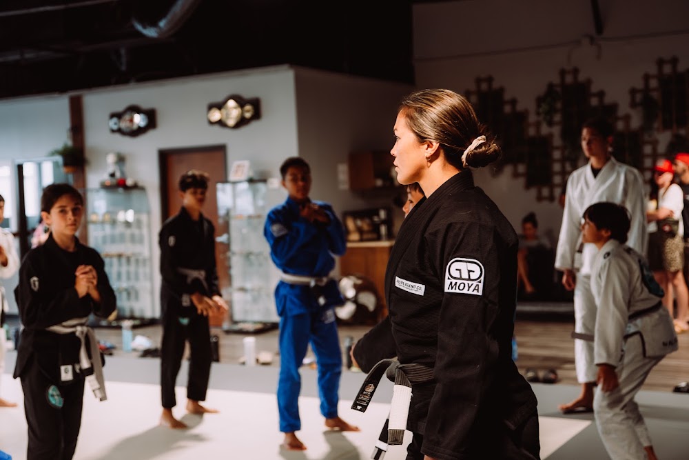 Free World Jiu Jitsu photo 2