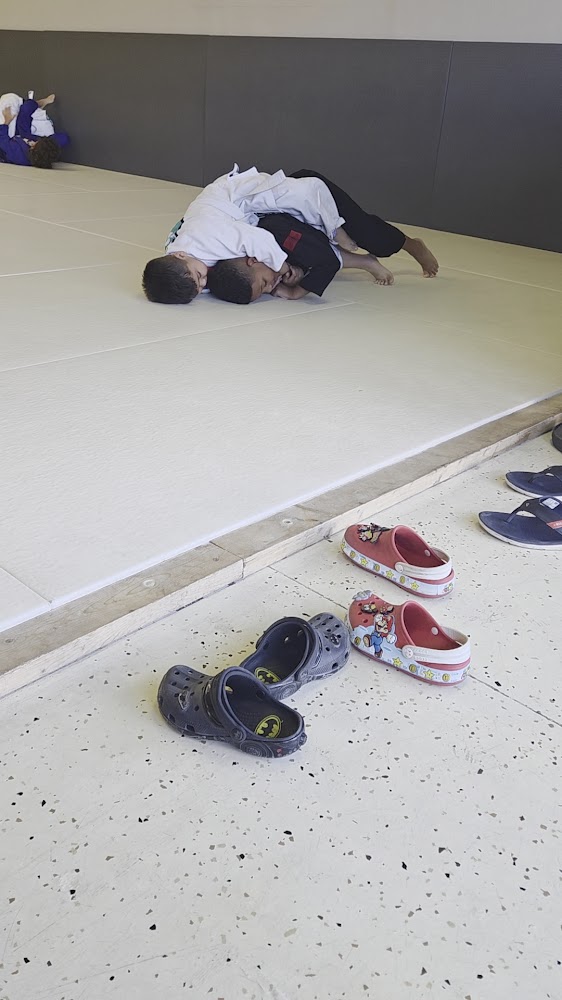 Free World Jiu Jitsu photo 3