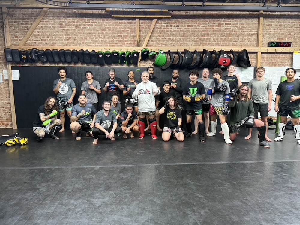 Impact Martial Arts Academy