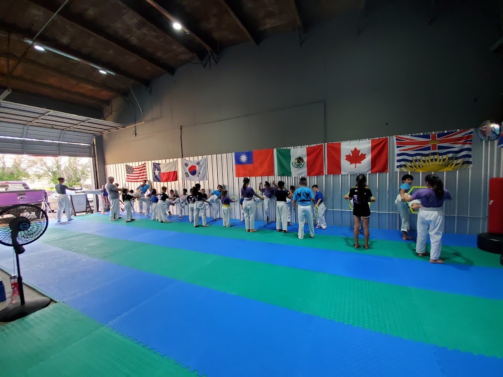 SVega Taekwondo, Brazilian Jiu-Jitsu and Training Center photo 2