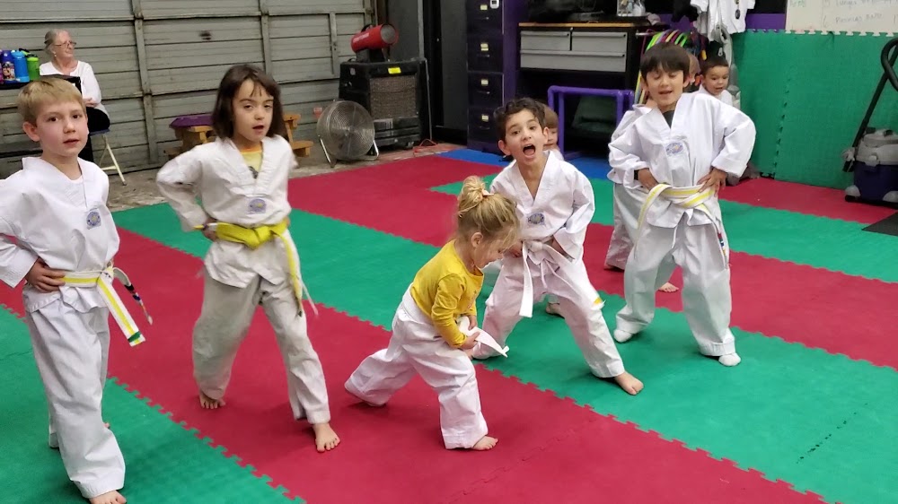 SVega Taekwondo, Brazilian Jiu-Jitsu and Training Center photo 4