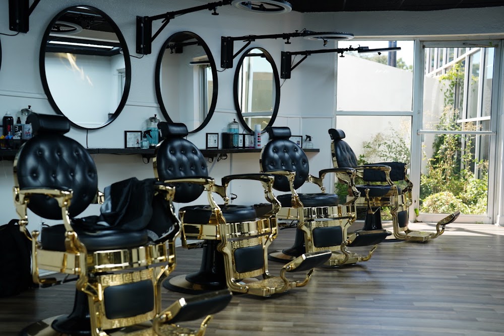 Vip Kings Barber College photo 2