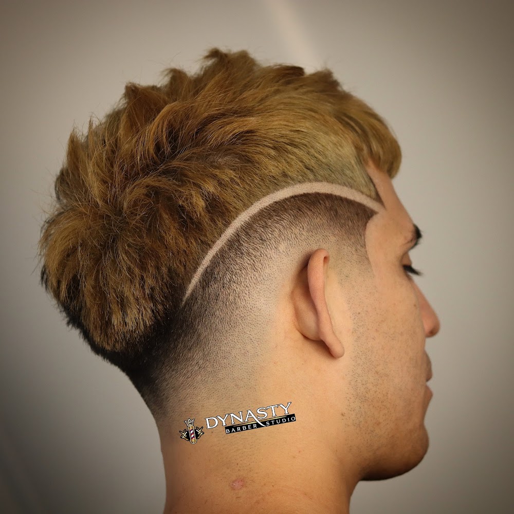 Dynasty Barber Studio view 2