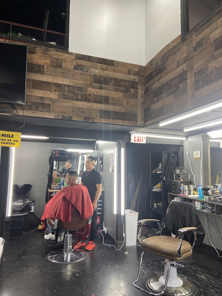 Alliance Cutz view 5