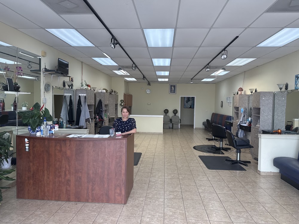 All Stars Haircuts view 4