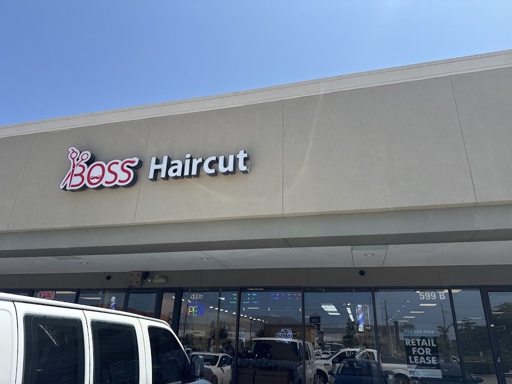 The Boss Haircut view 2