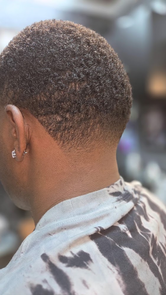 Barber To The Stars view 2
