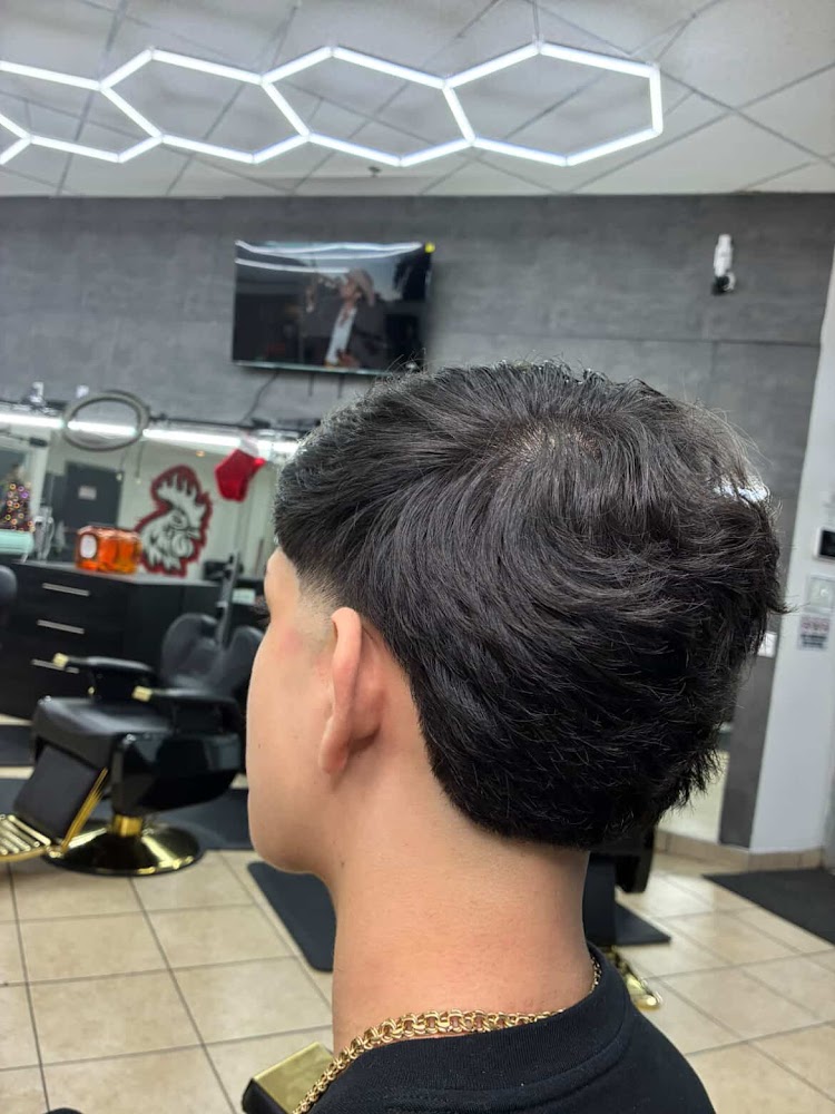 Gallo Fino Barber Lounge - North view 3