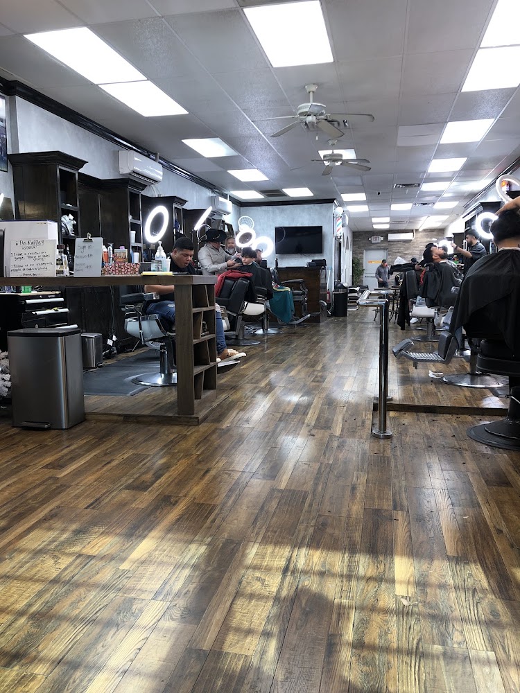 HOUSE OF FADES SPRING view 2