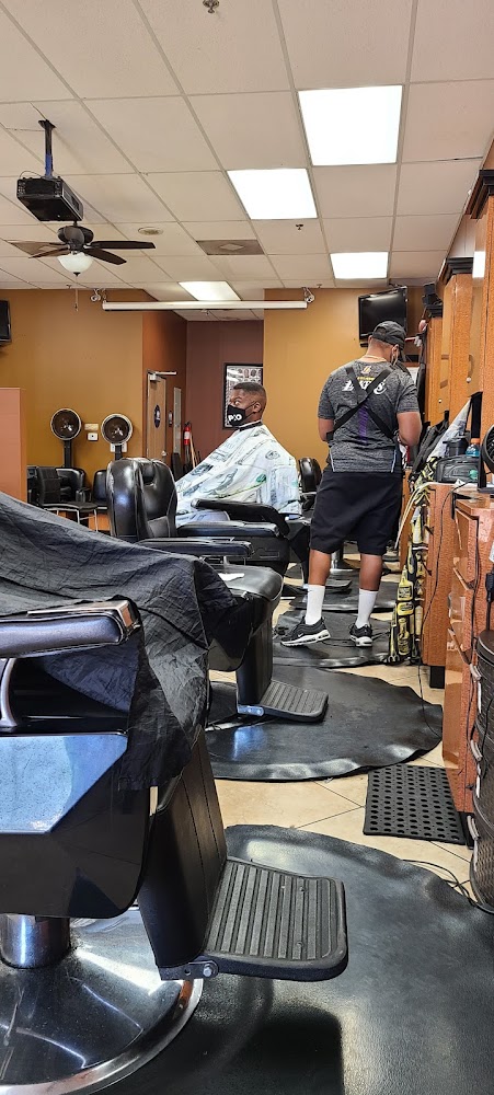 Afros & Fades view 2