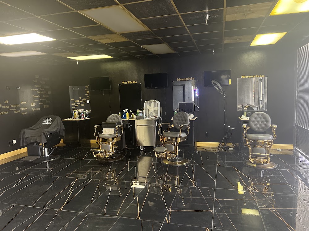 Apfarcutz/ Conroe hair view 3