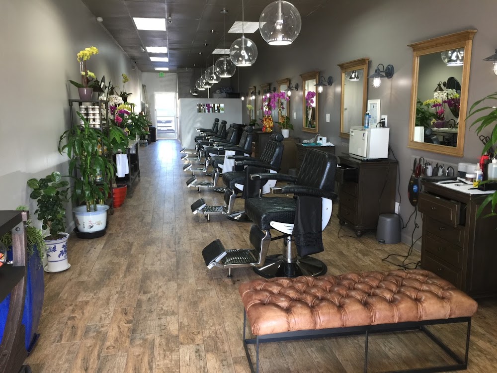 Barber & Co. view 2