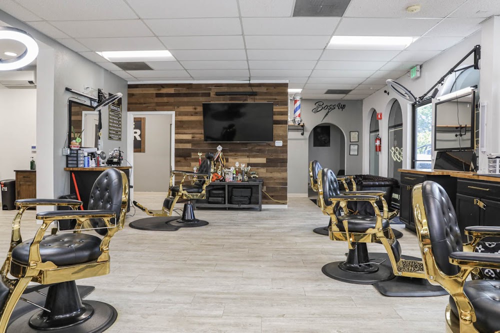 Boss Barbershop view 3