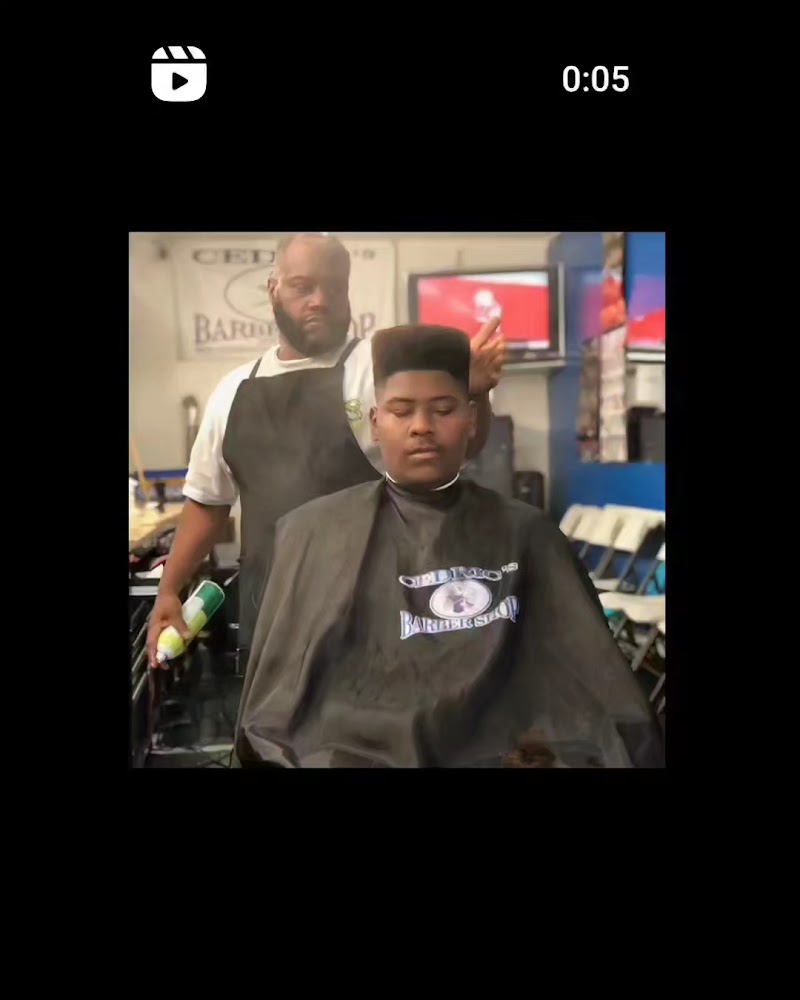 Cedric's Barber Shop view 3