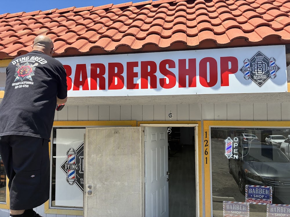 Dying Breed Barbershop view 3