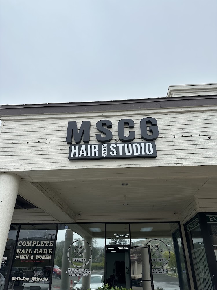 MSCG Hair Studio view 2