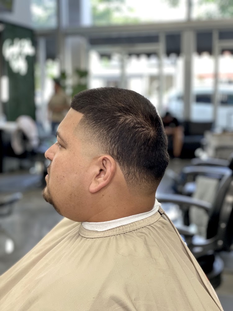 Premier Barber Parlor view 4