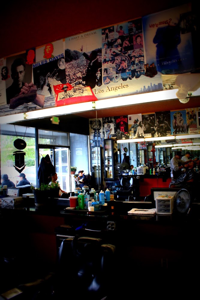 Stachehouse view 4