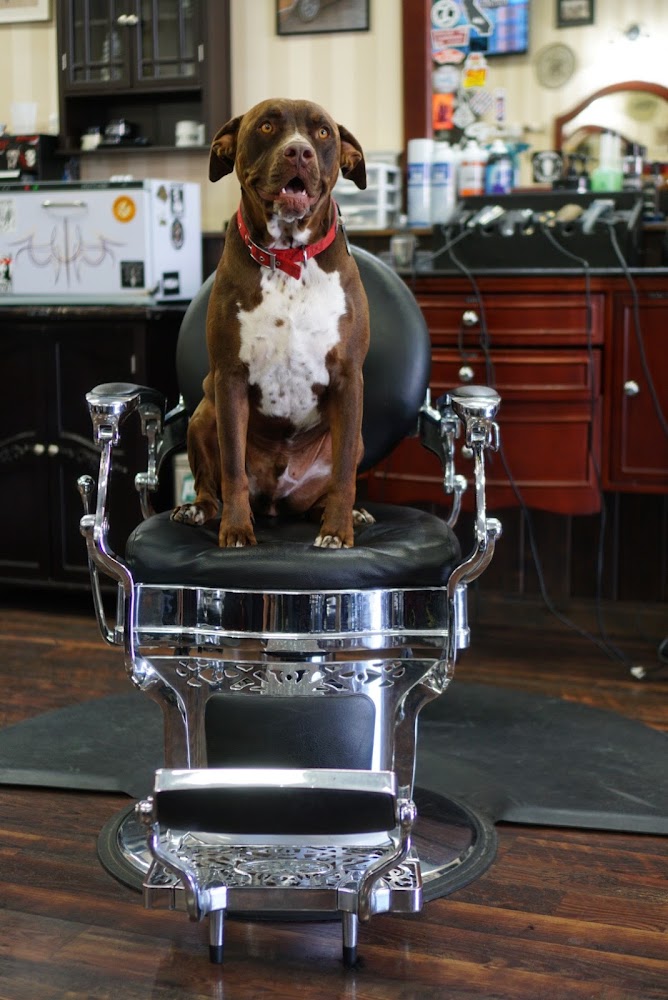 Tavern Barbershop & Shave Parlor view 5