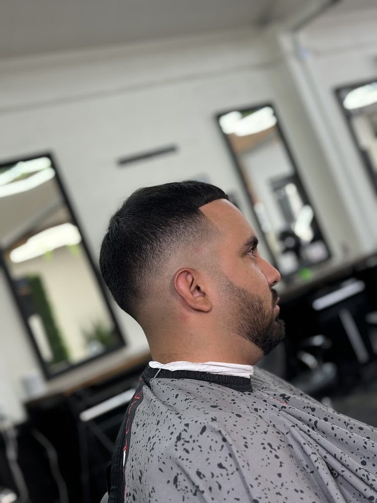 The Barbers Throne primary photo
