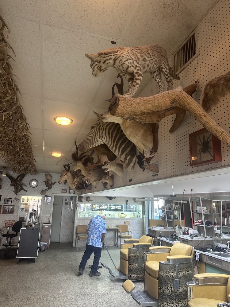 Trophy Barber Shop view 2