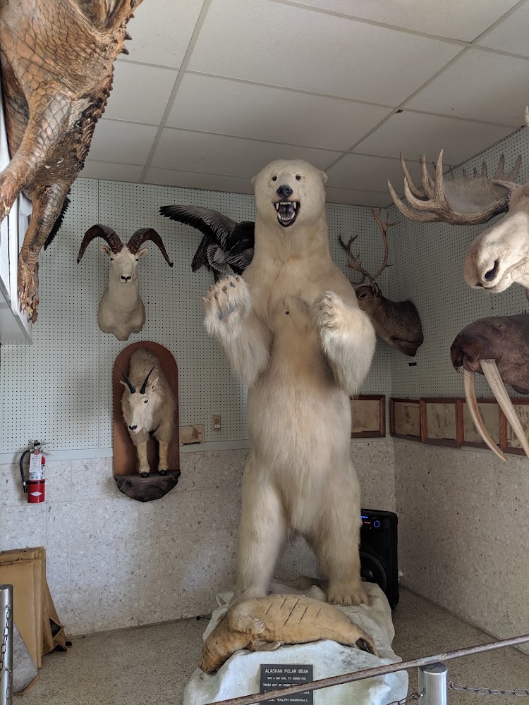 Trophy Barber Shop view 4