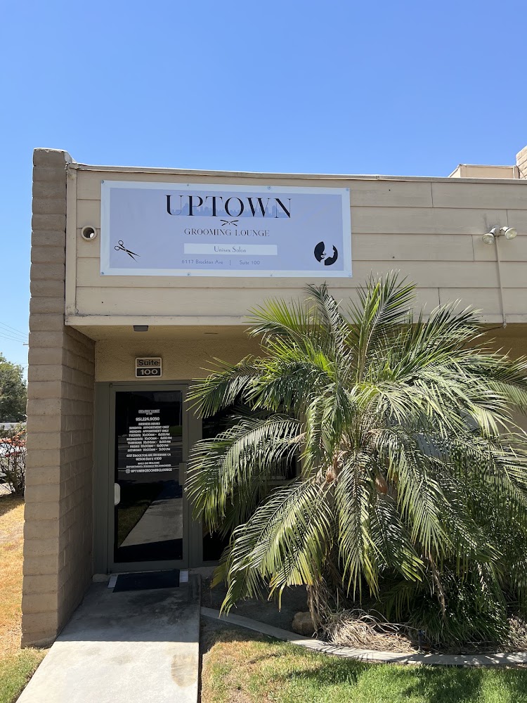 Uptown Grooming Lounge view 2