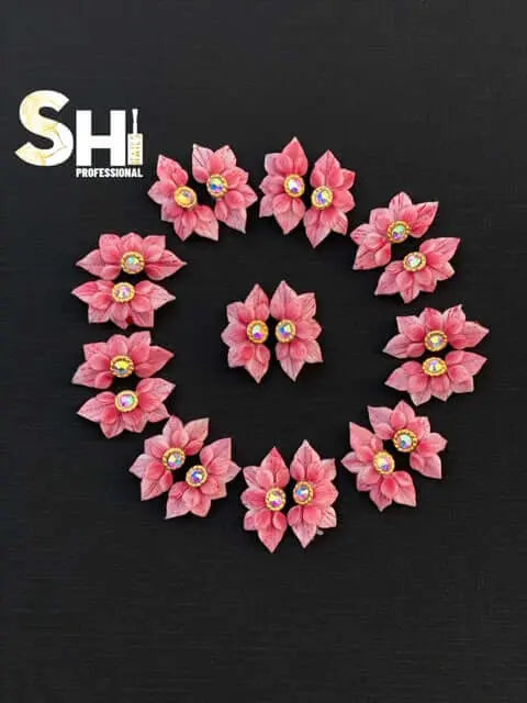 SHi Professionals photo 2